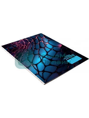 Папка Silwerhof Web для семейных документов (на 4комп листов) 230x310мм