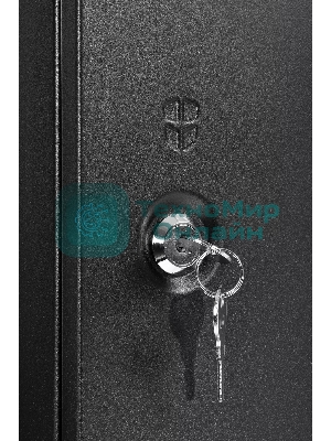 Шкаф телекоммуникационный настенный разборный ЦМО ЭКОНОМ 9U (600 x 520) дверь металл, черный (ШРН-Э-9.500.1-9005)