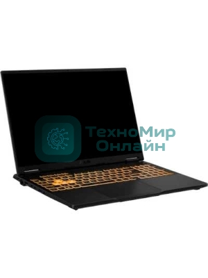 Ноутбук ASUS TUF Gaming F16 FX608JMR-RV114 Intel Core i7 14650HX 2200MHz/16