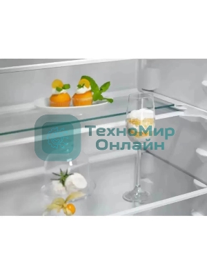 Холодильник Electrolux ENT6ME19S 2-хкамерн.
