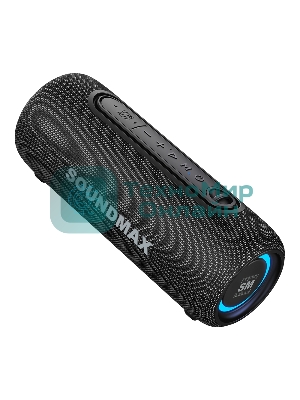 Портативная колонка Soundmax SM-PS5026B черный