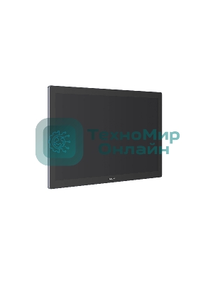 Графический монитор Huion Kamvas Pro 19, 18.4