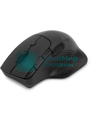 Мышь беспроводная Oklick 501MW черный, 2400 dpi, радиоканал, USB, кнопки - 6