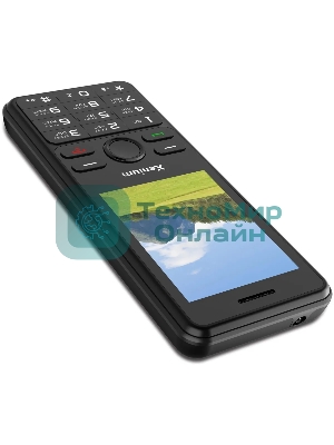 Мобильный телефон Xenium X280 черный