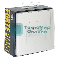 Розетка компьютерная 2-ая RJ45 кат.5E IEK FORTE&PIANO FP233 белый