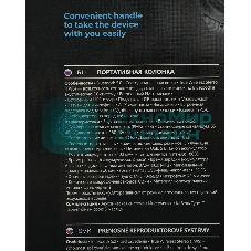 Портативная колонка Defender Boomer 20 20Вт Light/BT/FM/USB/AUX/MIC черный