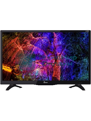 Телевизор Scoole 24