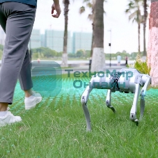 Бионический четырехопорный робот Unitree Go2 версии EDU