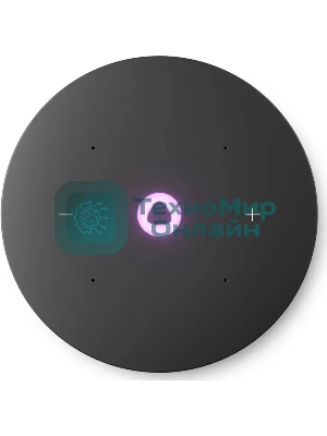 Умная колонка Яндекс Станция Мини 3 Про, 18Вт, компактная, 1 динамик, Алиса, Wi-Fi, Bluetooth 5.0, Zigbee, Matter, серый