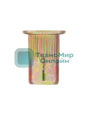 Заклепки резьбовые Denzel стальные, оцинкованные, М6, пластиковый кейс, 70 шт.