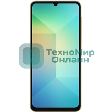 Смартфон Samsung Galaxy A06 SM-A065F, 4/128Gb, золотистый