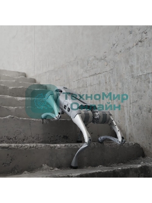 Бионический четырехопорный робот Unitree Go2 версии EDU