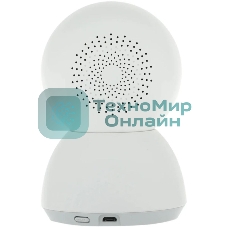 Поворотная IP-Камера Xiaomi Smart Camera C300 Dual EU