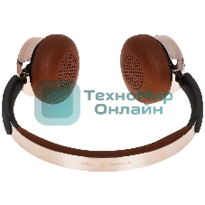 Гарнитура накладные Fiio Anytime F4439E черный беспроводные bluetooth оголовье (80004645)