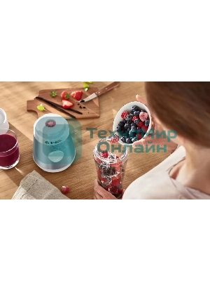 Блендер стационарный Bosch MMB2111T 450 Вт, серебристый