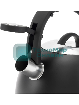 Чайник для плиты металлический Rondell Walzer RDS-1827 2.7 л. черный