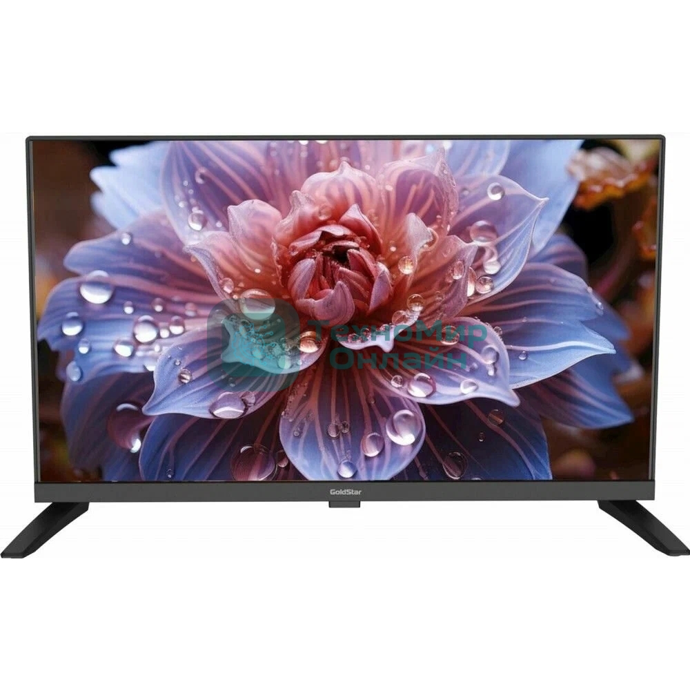 Телевизор GOLDSTAR 24