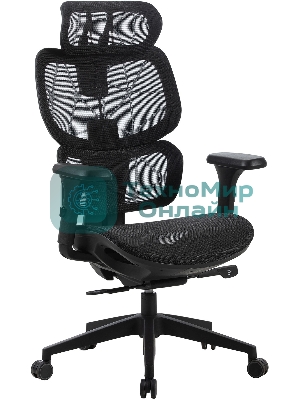 Кресло Cactus CS-MC555-BK черный, сетка, 150 кг, подголовник, регулируемые подлокотники, механизм качания