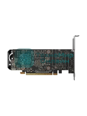 Видеокарта Zotac ZT-B50600L-10L, NVIDIA GeForce RTX 5060, 8 ГБ GDDR7, 128 бит, PCI-e 5.0, 1xHDMI, 3xDP, 2497 МГц, LP