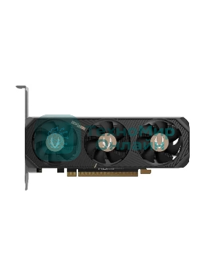 Видеокарта Zotac ZT-B50600L-10L, NVIDIA GeForce RTX 5060, 8 ГБ GDDR7, 128 бит, PCI-e 5.0, 1xHDMI, 3xDP, 2497 МГц, LP