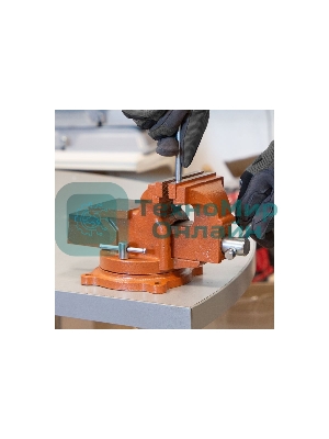 Тиски слесарные Sparta 100мм поворотные с наковальней