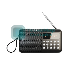 Радиоприемник SOUNDMAX SM-RD2116 черный