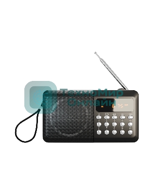 Радиоприемник SOUNDMAX SM-RD2116 черный