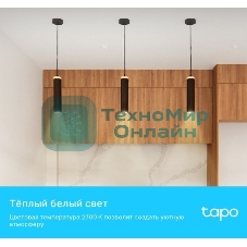 Умная диммируемая Wi-Fi лампа TP-Link Tapo L610