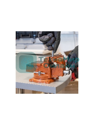 Тиски слесарные Sparta 100мм поворотные с наковальней