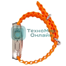 Умные часы BOROFONE (6941991100284) BD3 Gold