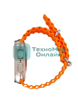 Умные часы BOROFONE (6941991100284) BD3 Gold