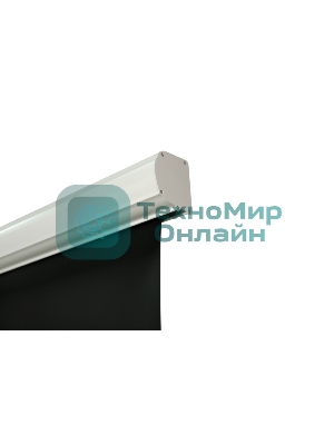 Экран с электроприводом Lumien Master Business Control 214х343 см (159