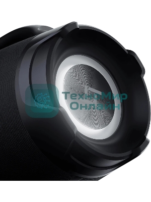 Колонка портативная Ural Урал ТТ М6+ черный/черный 110W 1.1 BT/3.5Jack/USB-C 10м 8000mAh