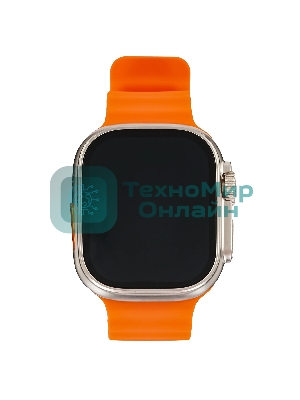 Умные часы BOROFONE (6941991100284) BD3 Gold