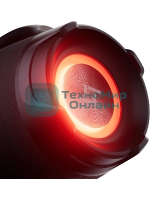 Колонка портативная Ural Урал ТТ М6+ черный/черный 110W 1.1 BT/3.5Jack/USB-C 10м 8000mAh