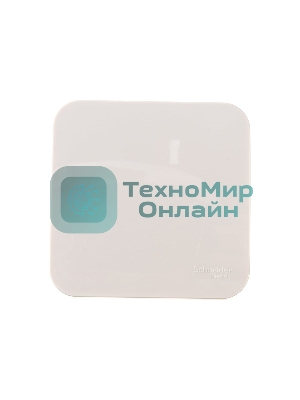 Выключатель 1-кл. ОП Blanca (сх.1) 10А 250 В изол. пласт. беж. SchE