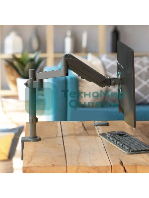 Кронштейн (держатель) ONKRON G70 для монитора 13