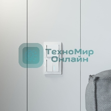 Рамка на 2 поста WERKEL (белый, basic) W0022001