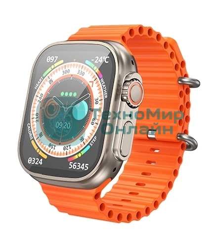 Умные часы BOROFONE (6941991100284) BD3 Gold