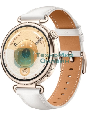 Умные часы HUAWEI Watch GT 6 KSU-B19, 1.32