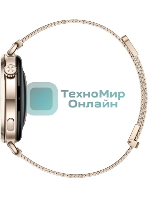 Умные часы Huawei GT 6 KSU-B19 55020FVW золотой