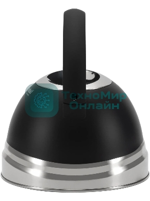 Чайник для плиты металлический Rondell Walzer RDS-1827 2.7 л. черный