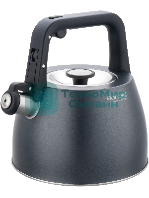 Чайник Rondell Filigran RDS-1950 2.7 л. металлический серый
