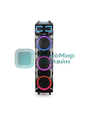 Колонка Eltronic 10