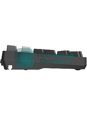 Клавиатура беспроводная механическая A4Tech Bloody WS98 USB черный/серый (WS98)