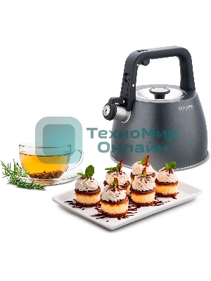 Чайник Rondell Filigran RDS-1950 2.7 л. металлический серый