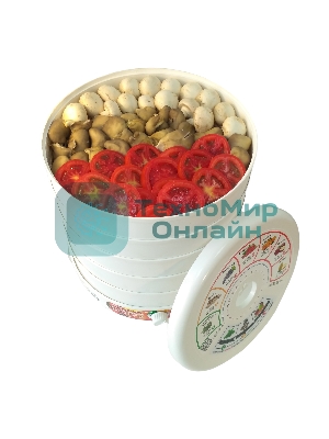 Сушилка для овощей и фруктов Renova DVN31-500/5(R)