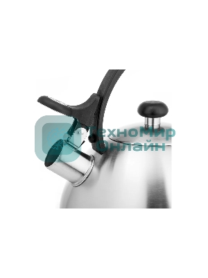 Чайник для плиты Lara LR00-65, нержавейка, матовый, 2,5 л, индукце капс дно, нейлон.ручка