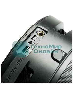 Портативная аудиосистема DIALOG AP-1030