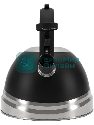 Чайник для плиты металлический Rondell Walzer RDS-1827 2.7 л. черный